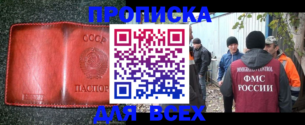 временная регистрация поиск в Павловске